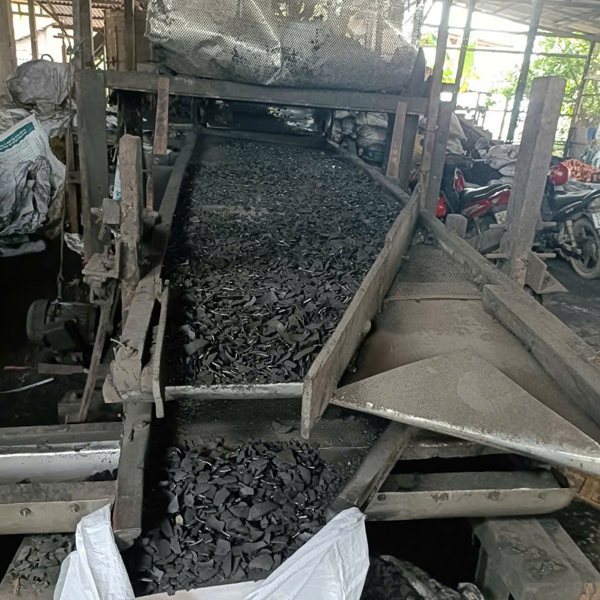 Than gáo dừa 02